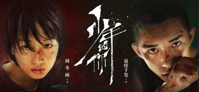 学信网学历证书电子注册备案表在哪